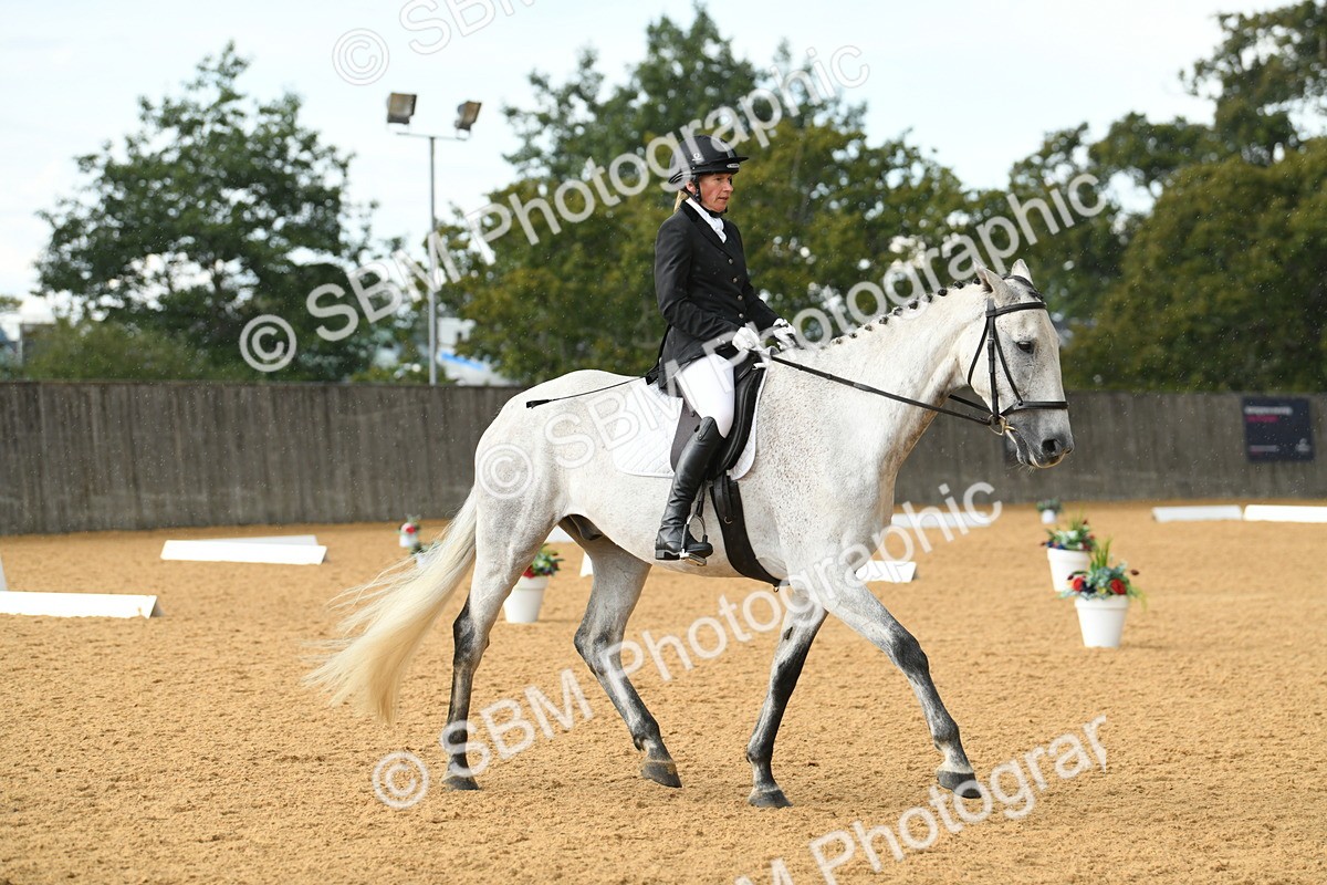 SBM_11187 - D28 Elementary Taster Elementary 42