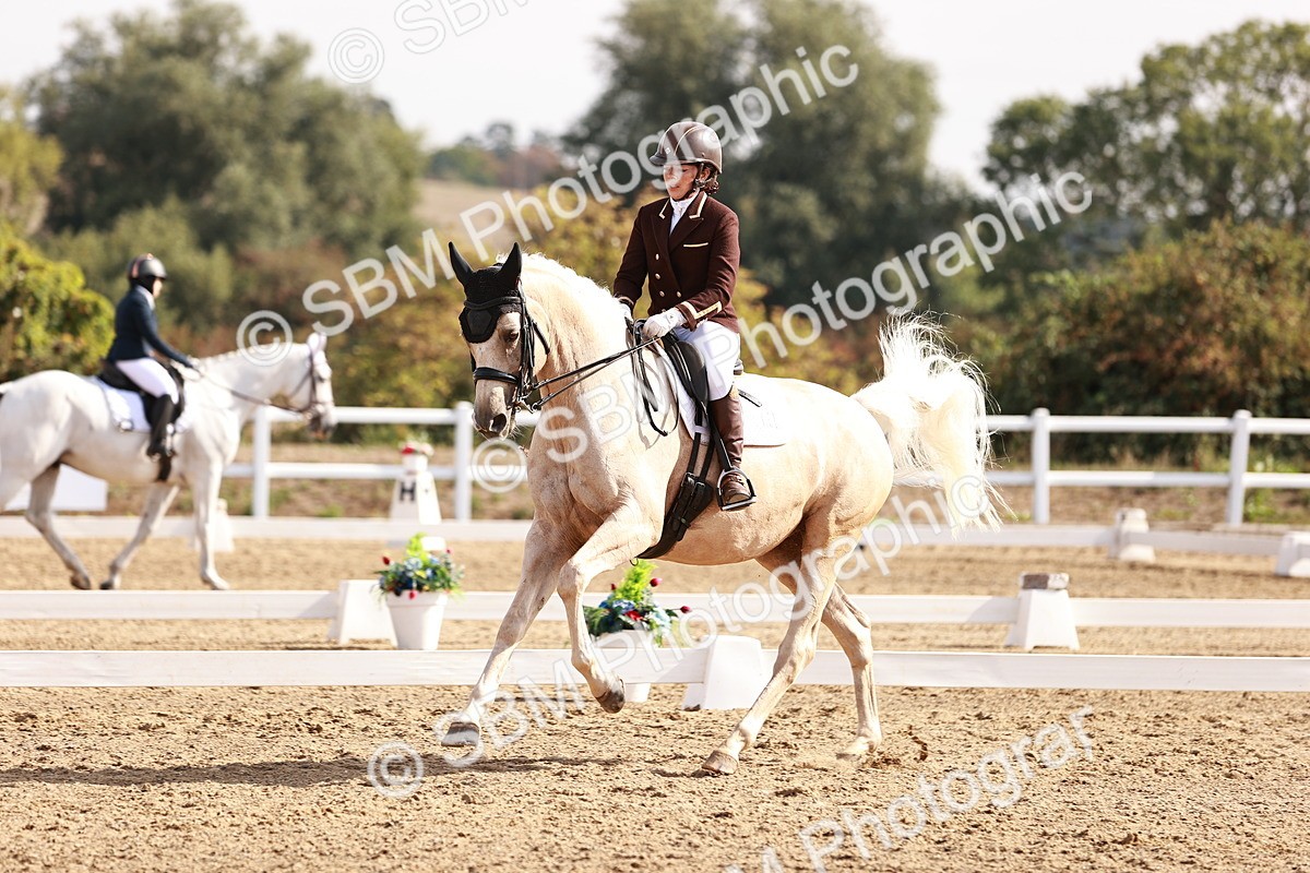 SBM_017022 - Class 10 - Medium 6