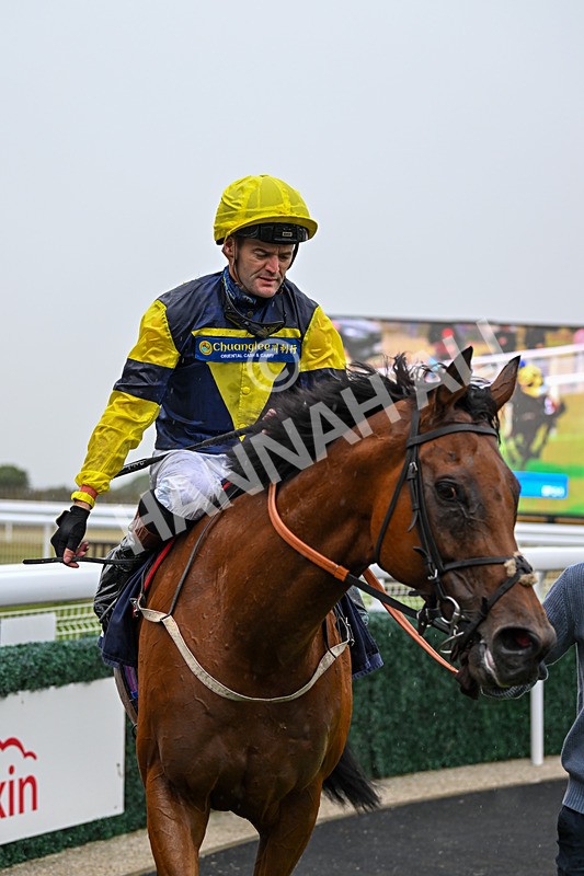 040725-Race 3-Orbaan-4761 - Race 3