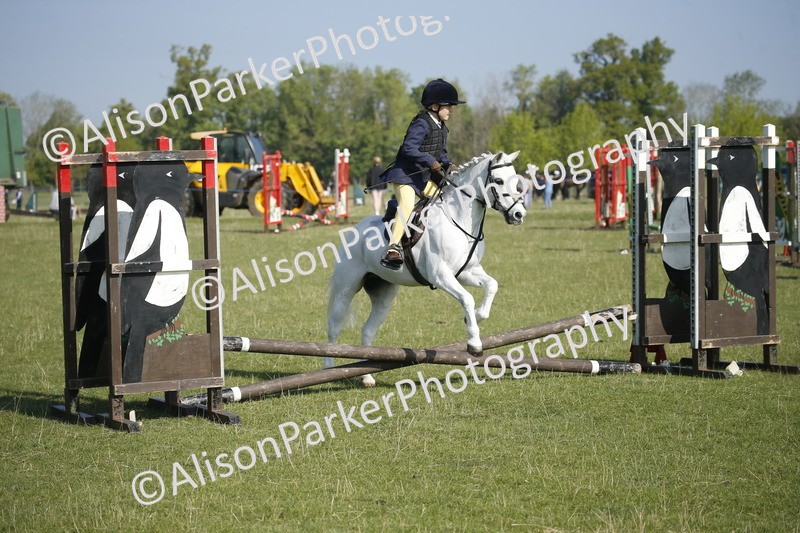 20250427-0289 - Class 12 - Rookie Jumping 40cm