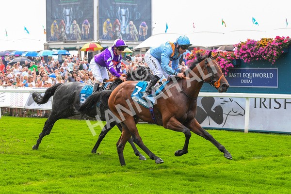 100923-Race 1-The Coffee Pod-0400 - Race 1 1.40pm Ire Incentive, It Pays To Buy Irish EBF Novice Stakes