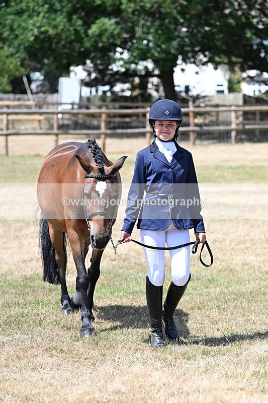 WJ7_2219 - Class 5 Most Handsome Gelding (up to 14.2hh) in hand