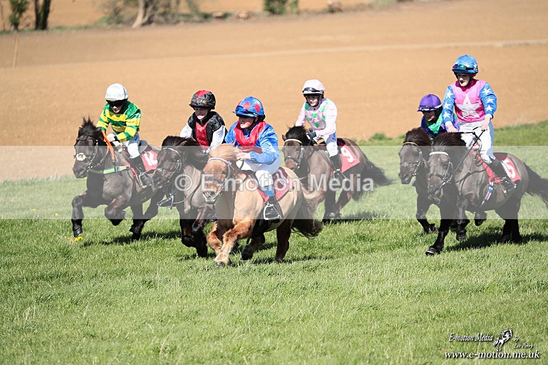 Shet 060426 276 - Shetland Pony Racing Paxford Races Easter Mon 06/04/26