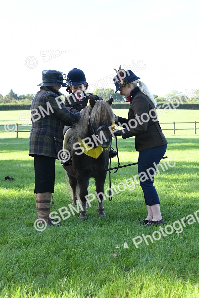 SBM_35462 - S17 - Condition & Turnout - Lead Rein