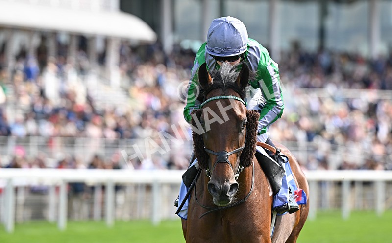 220826-024 King Of Earth - Race 1 13.50pm Sky Bet Strensall Stakes