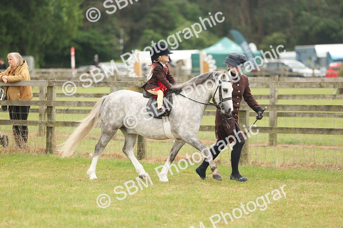 SBM_06832 - Class 74-75 - M&M Lead Rein and First Ridden Pony