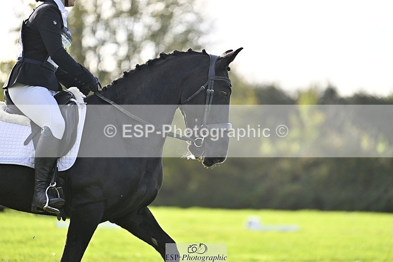 241025-100648-05695 - 357-Eleanor.Newcombe-MR.DARCY