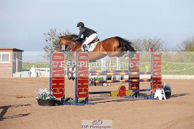 250427-084637-14643 - Cls 28 Young Horse 5yr old