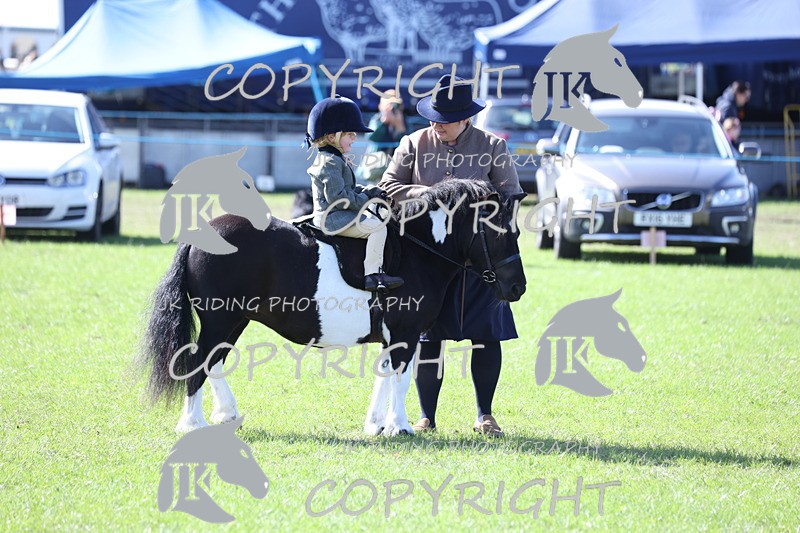 APP_3843 - Class 13 Lead rein