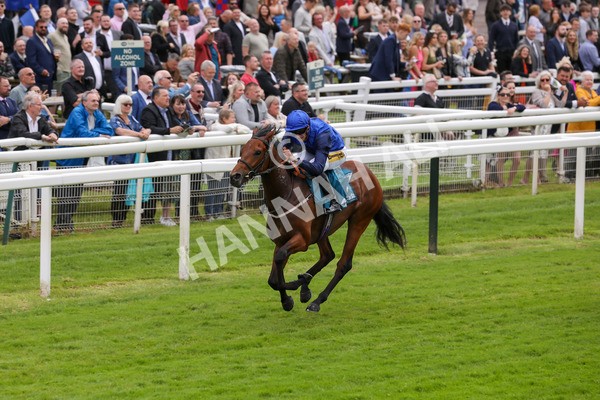 140624-Race 2-Inconspicuous-5563 - Race 2 2.25pm CGE Yorkshire Rous Selling Stakes