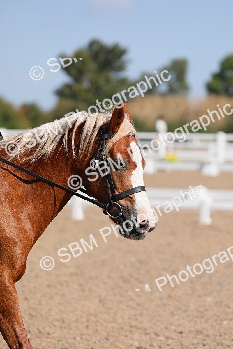 SBM_02539 - Class 30 Intro 1