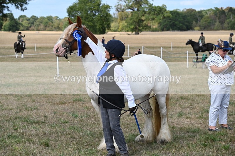 WJ6_6722 - Class 20 In-hand Cob