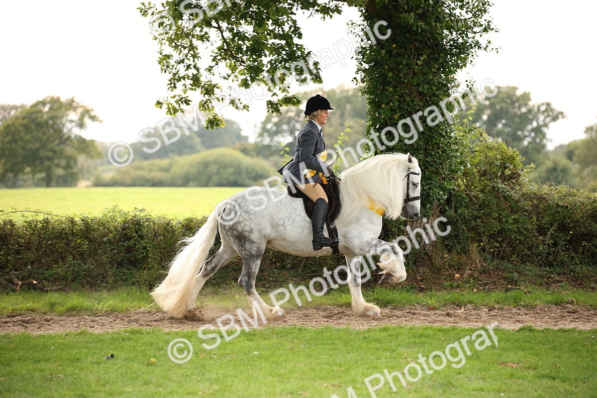 SBM_73643 - Ridden Horse Supreme Championship
