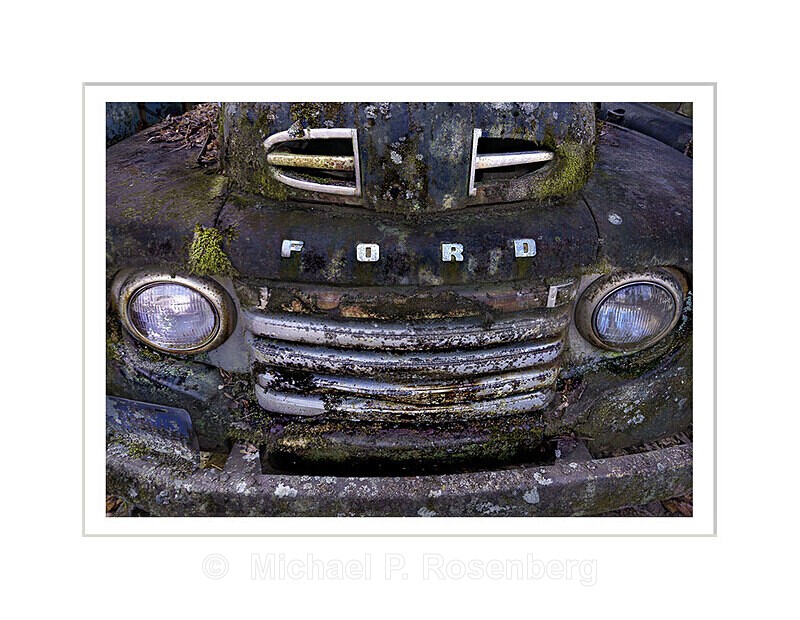 Lichen and Moss, 1940 F1 Ford Truck, Autographica - AUTOGRAPHICA: Faded Glory