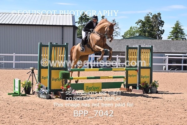 BPP_7042 - CLASS 14 FRI Nupafeeds Senior Dicovery/1m open