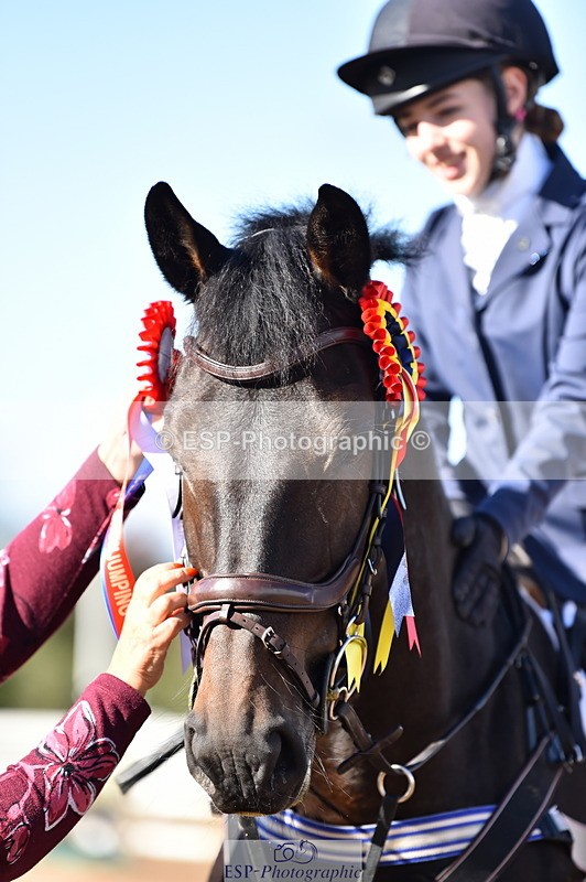 231014A-113020-04054 - Cls 13 85cm Amateur Q 2nd R