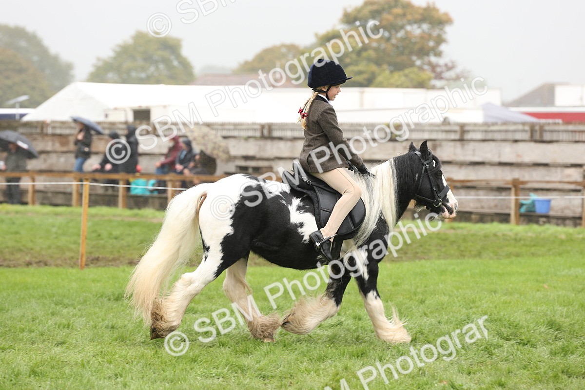 SBM_72826 - S70 - Traditional Cob Ridden