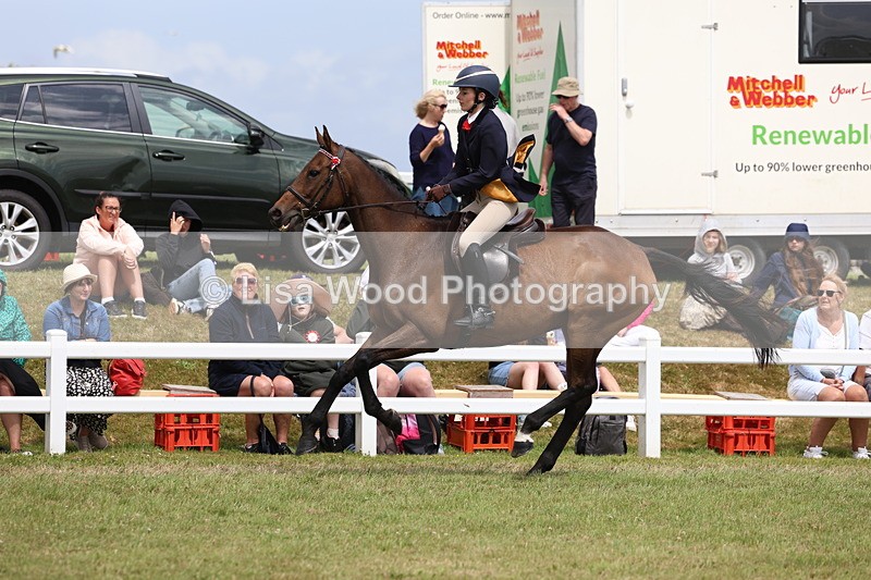 3E7A2371 - Class 11: Retraining of Racehorse