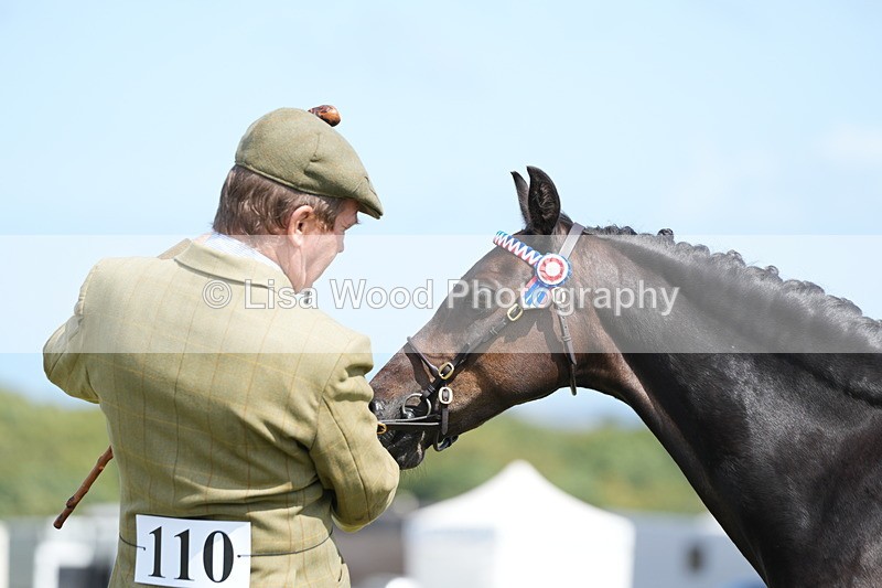 DSC07369 - Class 69: NPS Show Pony 4 years and over