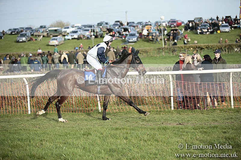 PtP 230319 508 - VWH Hunt Siddington Point-to-Point Racing 23/03/19
