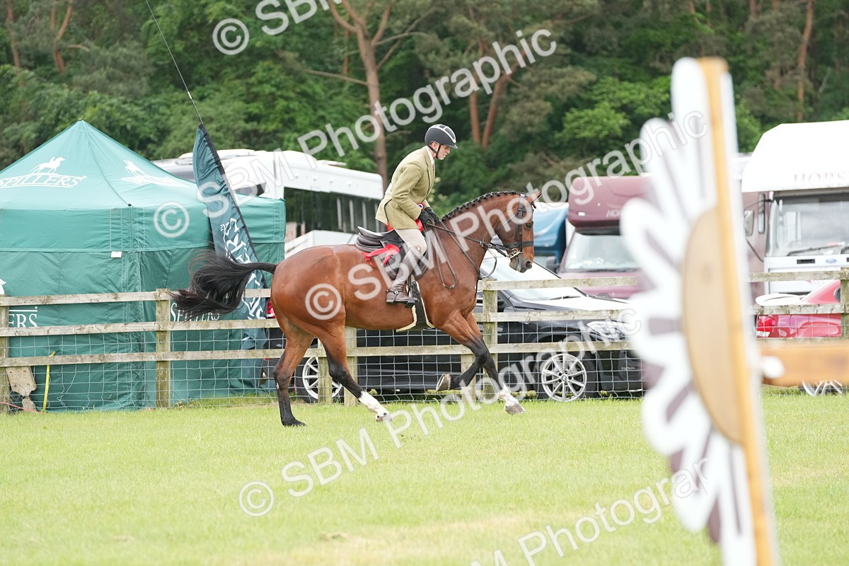 SBM_00034 - Class 100-102 - RIHS Working Hunter