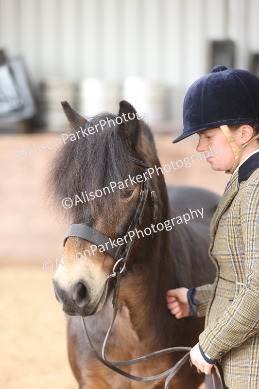 20251109-0642 - Class 22 - Geldings 4 Years and over