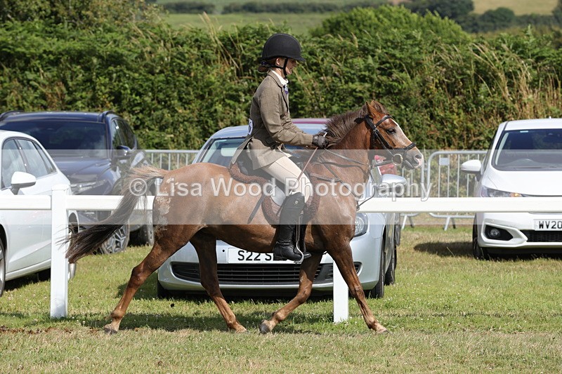 1X9A5665 - Class 40: NPS Welsh A & B