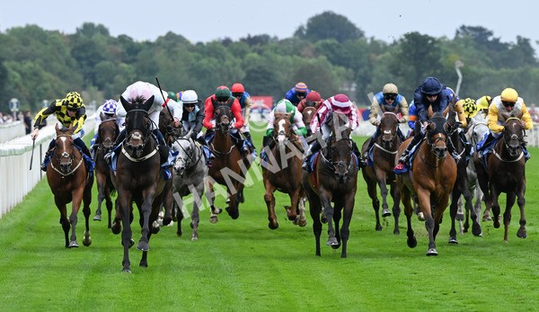 230825-116 Ethical Diamond - Race 4 3.35pm Sky Bet Ebor Handicap
