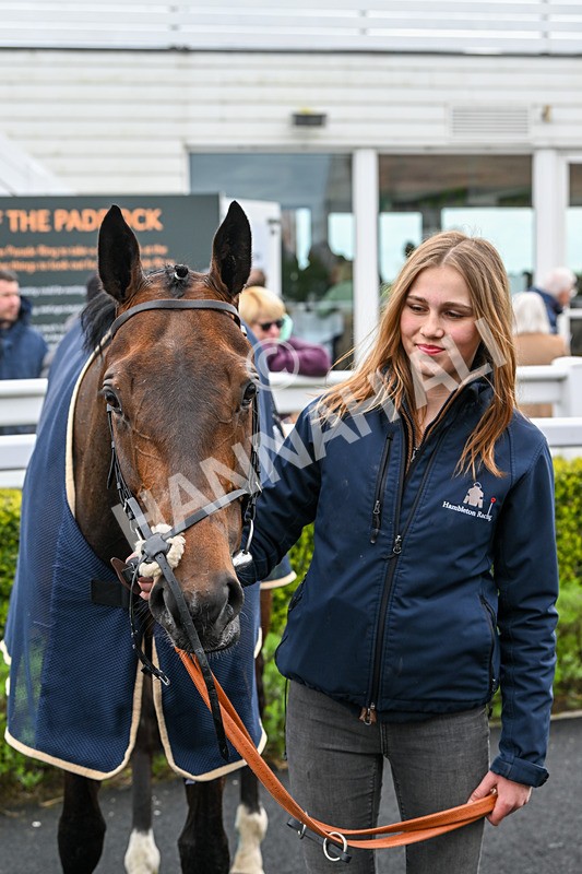 240424-Race 2-Restless Prince-7828 - Race 2