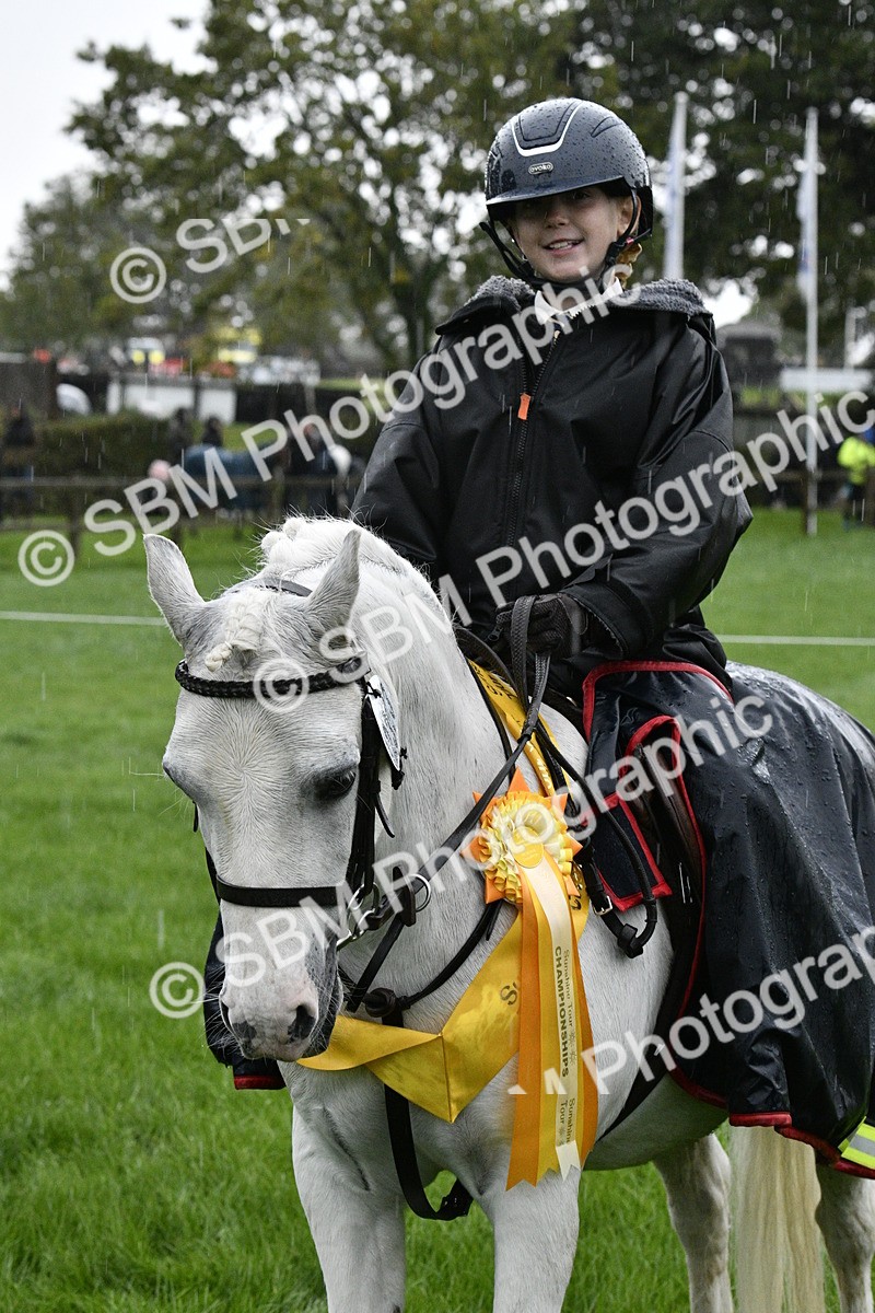SBM_35571 - S30 - Nursery Stakes Working Hunter Pony