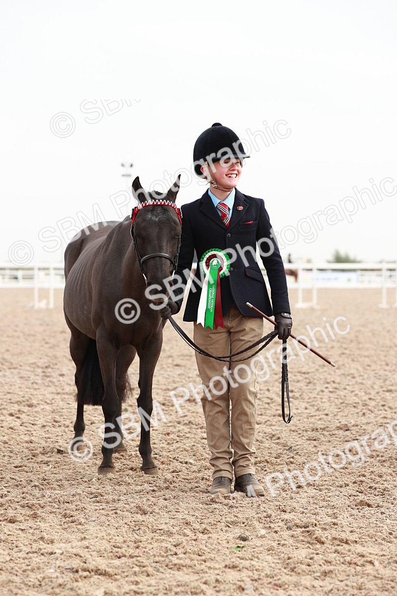 SBM_09577 - Class 201 Best Turned Out IH