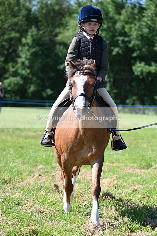 WJ7_0639 - Class 8 First Rally Pony