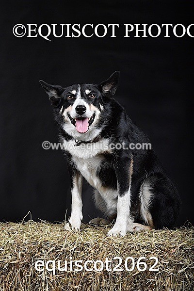 equiscot2062 - SKY & NELL