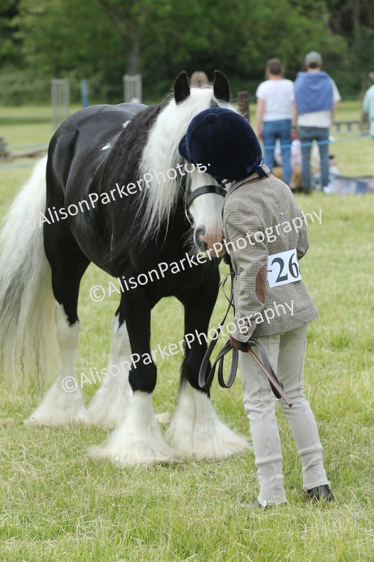 20260614-4301 - Class 18 - Best Junior Handler