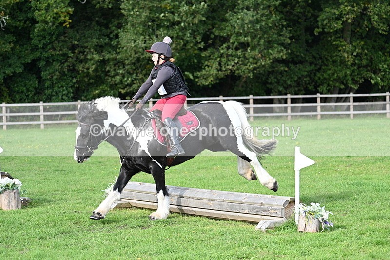 WJ7_3695 - 40cm Time 10:26 to 10:42