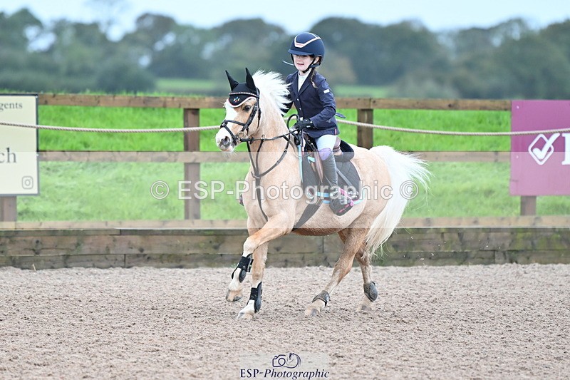 231029A-090552-02281 - 50cm Clear Round