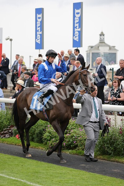 yr19082021r3-17 - Race 3 3.00pm Clipper Logistics Stakes