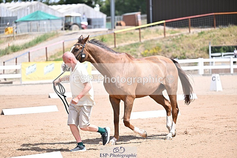 250716-124001-00103 - Trot Up 12.30 to 1.30