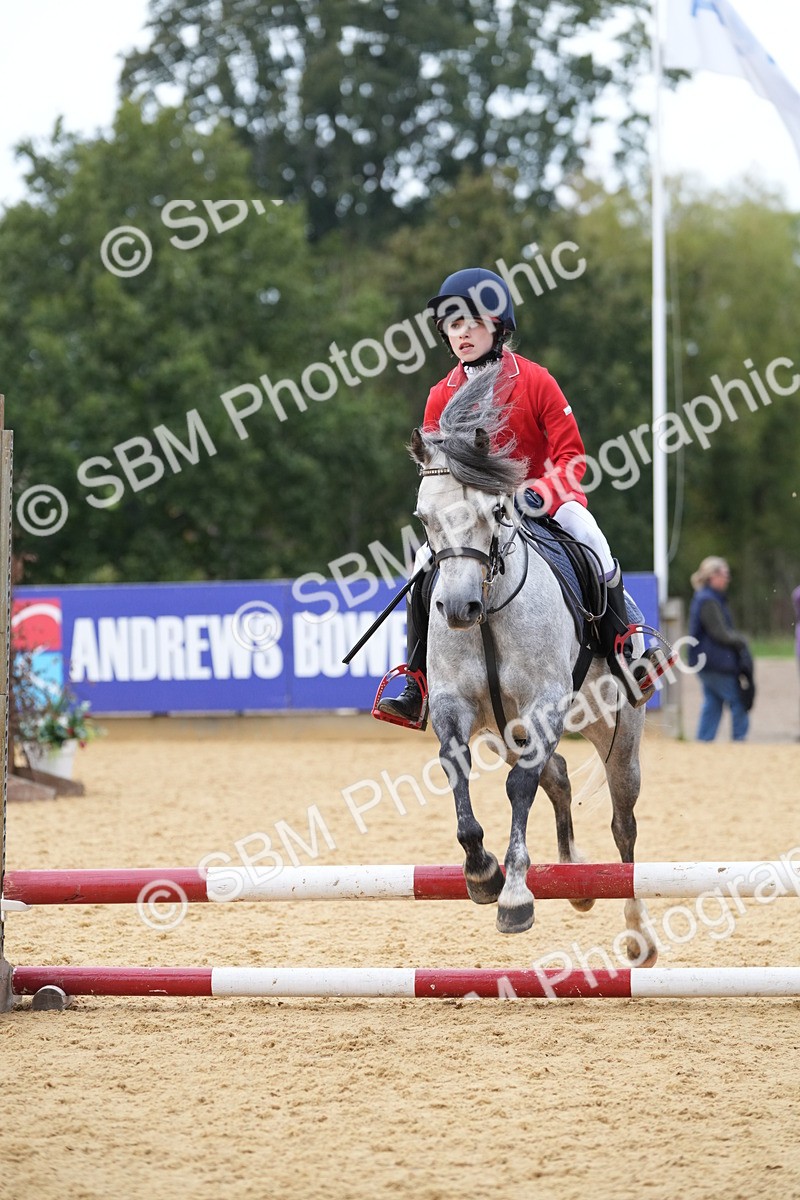 SBM_74854 - J4 - Mini Tour Junior Pony 45cm Championship