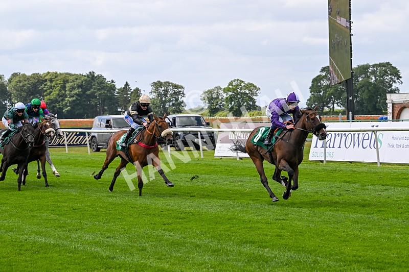 030824-Race 1-Mademoiselle-1411 - Race 1