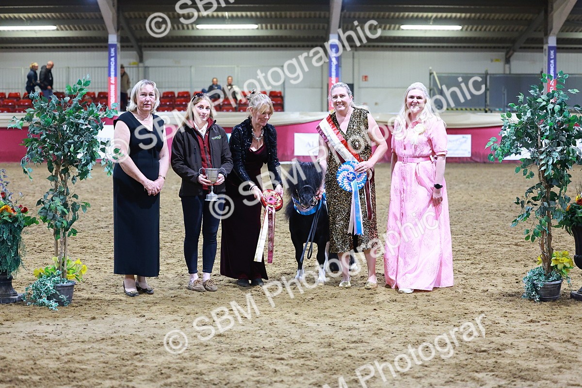SBM_15308 - Class P - M&M Champ