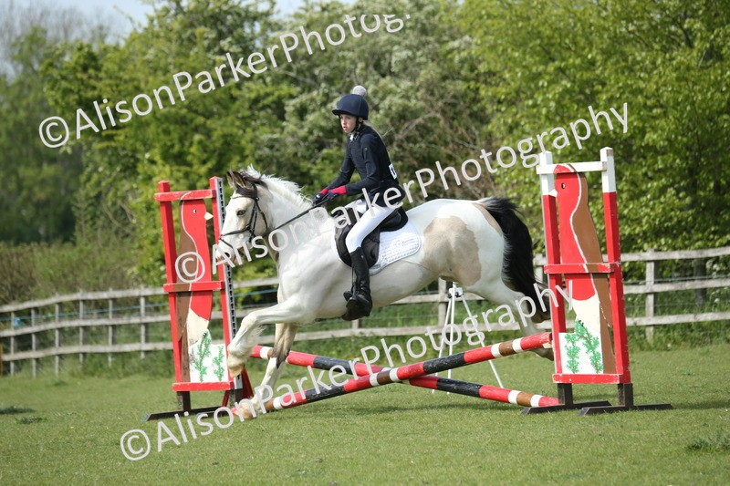 20260426-1644 - Class 14 - Novice 60cm