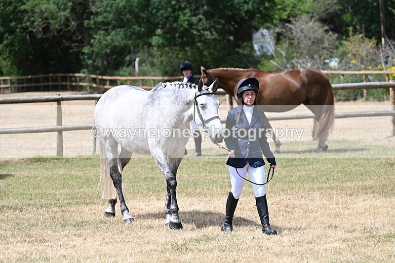 WJ7_1784 - Class 4a Prettiest Mare 14.2hh and over hand