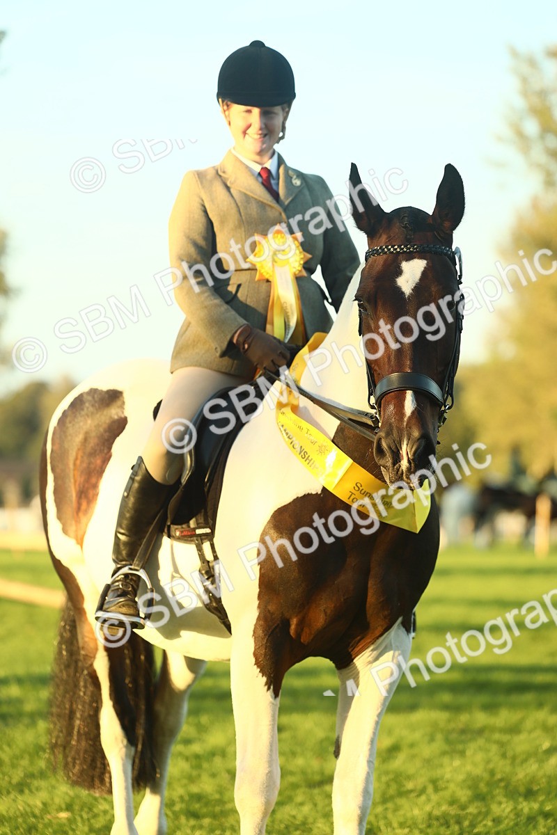 SBM_56525 - S14 - Riding Club Horse