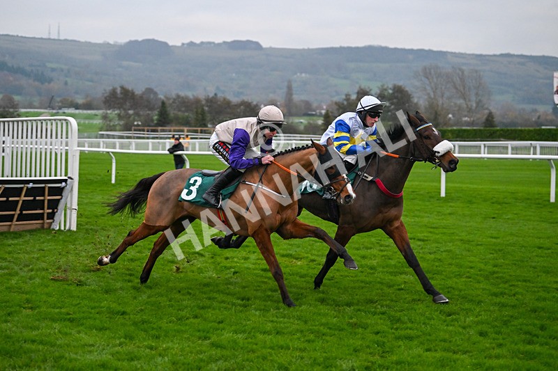 151124-Race 6-Chutzpal-8857 - Race 6