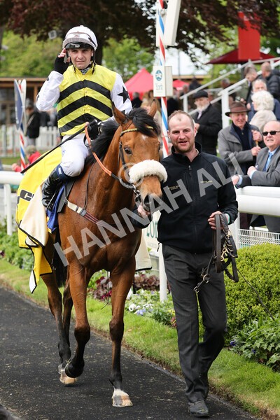 yr11052022r2-41 - Race 2 2.25pm Churchill Tyres Stakes