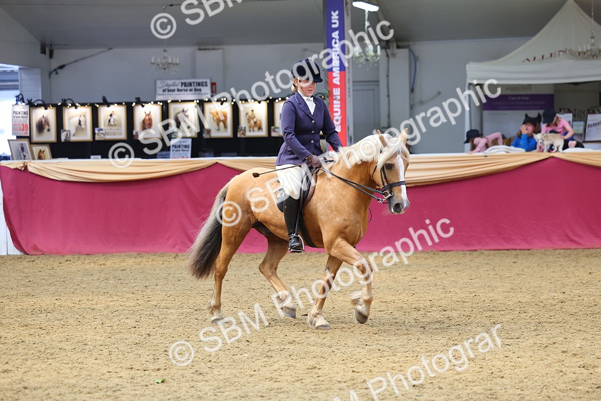 SBM_23553 - Class 904 - Supreme Final Ridden Diamond