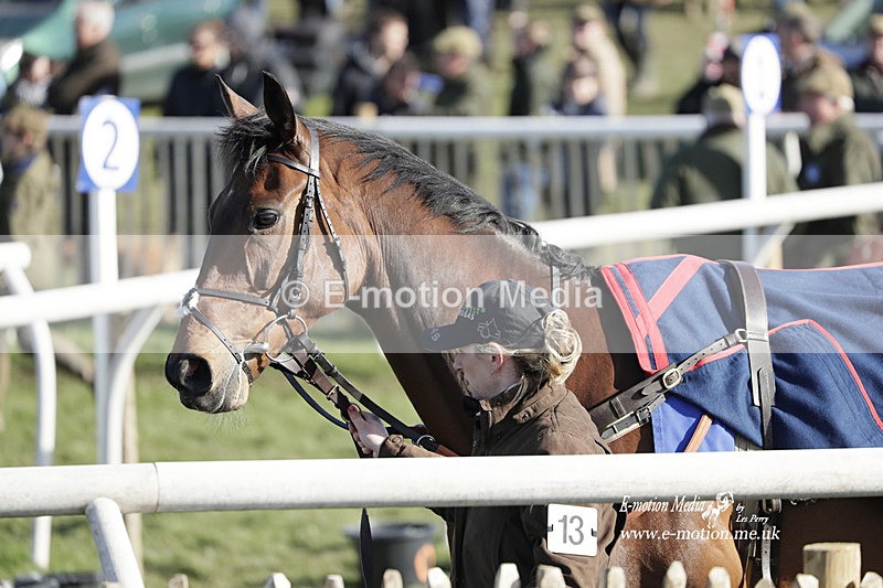 PtP 100423 1205 - Old Berkshire Point-to-Point Lockinge 10/04/23