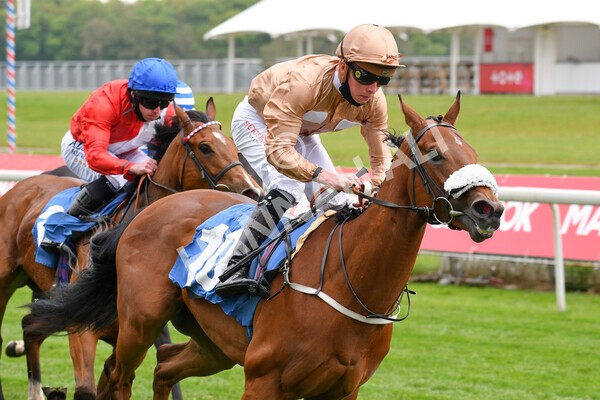 yr14052021r1-22 - Race 1 1.40pm Langleys Solicitors British EBF Marygate Fillies' Stakes