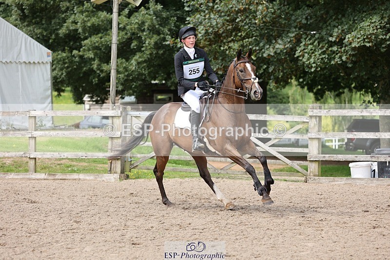 240803-151208-08716 - 255-Tommy_Marsden-HARD_KNOCK_LIFE